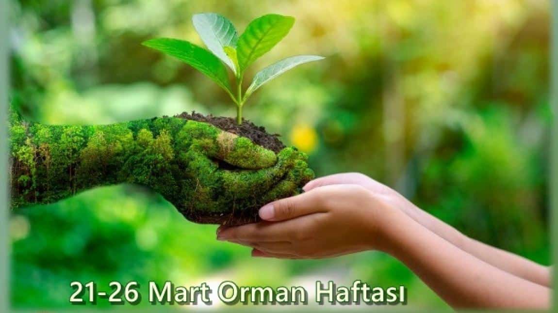 ORMAN HAFTASI(21-26 MART)